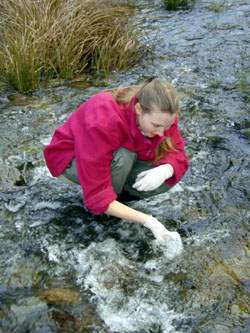 Figure 5.17 Collection of water quality variable