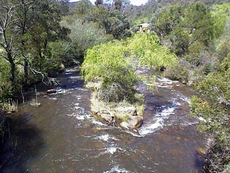 Figure 5.20 Examples of bars in a river channel.