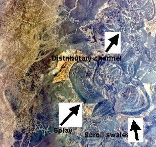 Figure 5.8 Examples of floodplain features, identified from aerial photographs and in the field