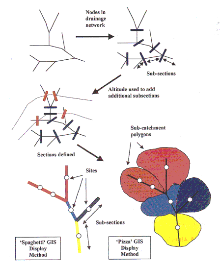 Figure 4a. Sub-sectioning of stream into homogeneous stream sections using the drainage network nodes and altitude. Two methods of displaying the sections using GIS are shown.